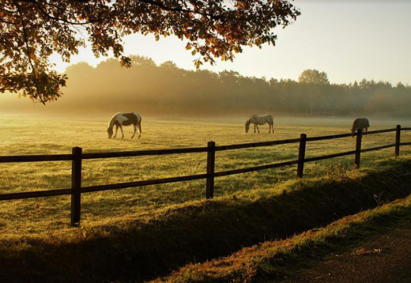 BEOGRAD: Devizni priliv od turizma premašio 1,2 milijarde evra