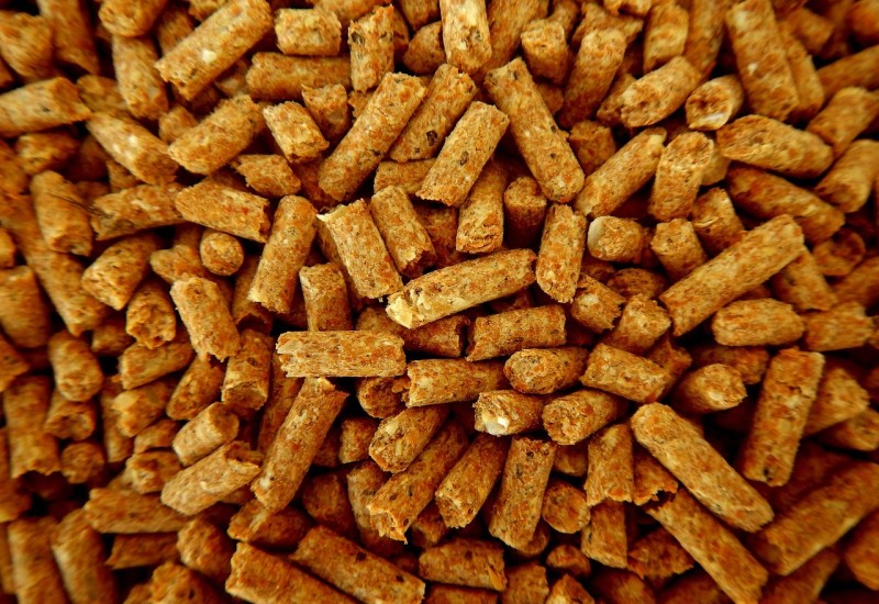 Produžena zabrana izvoza oblovine i peleta