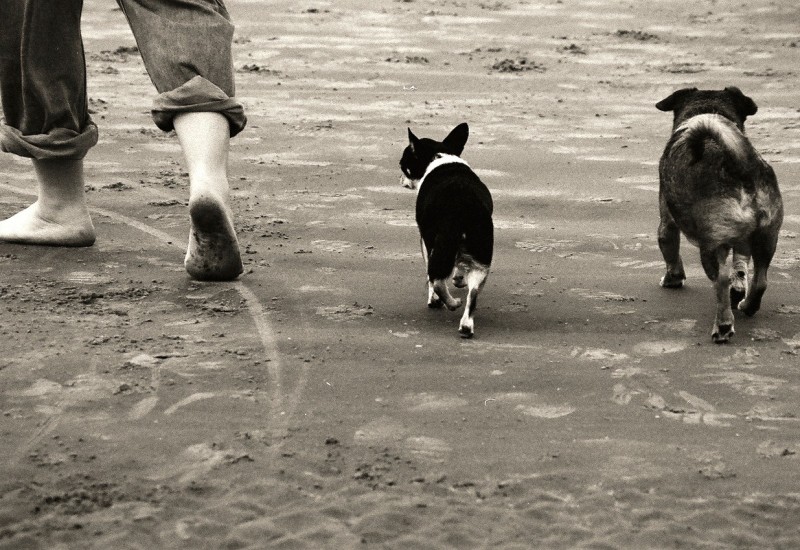 Hodanje bez obuće koriguje deformitet stopala