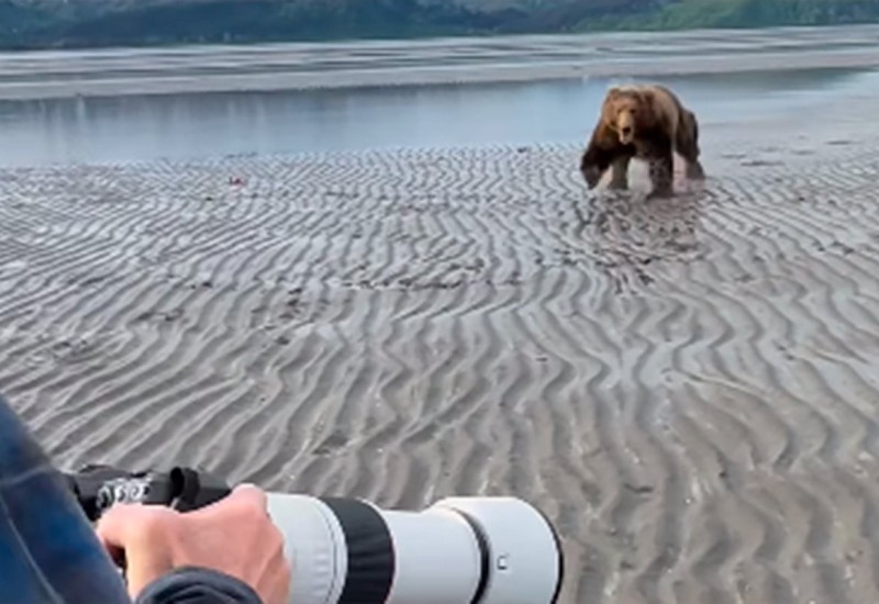 Medvjed pojurio prema turistima, pogledajte kako su se odbranili (VIDEO)