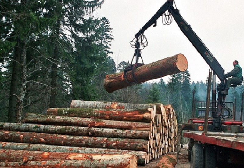 Ukupna proizvodnja i prodaja šumskih sortimenata manja u odnosnu na prošlu godinu