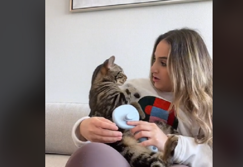 Glumila da je povrijedila mačka, on utjehu tražio u zagrljaju(VIDEO)