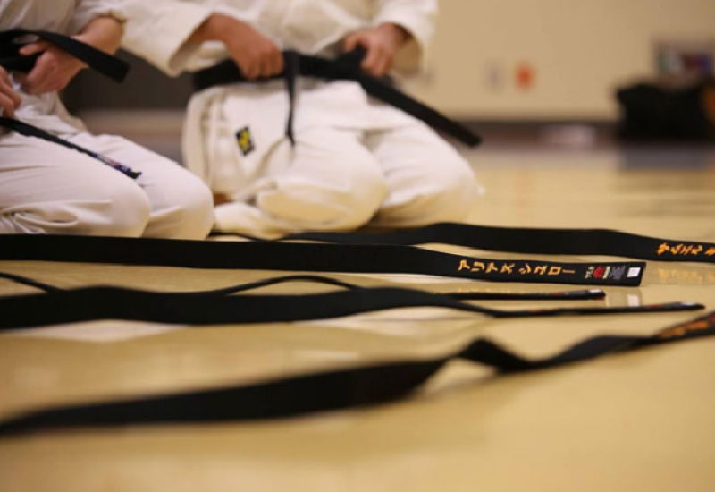 Višegradski karatisti osvojili šest medalja na takmičenju