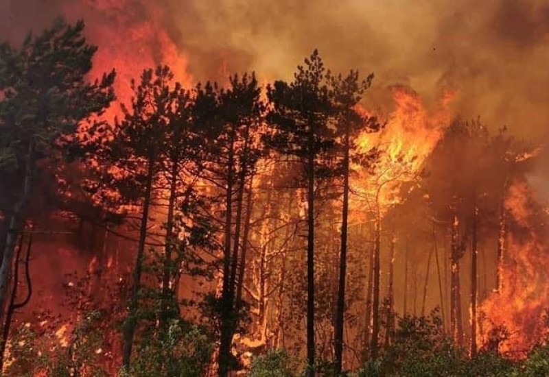 Požar u Gornjem Vakufu, situacija alarmantna